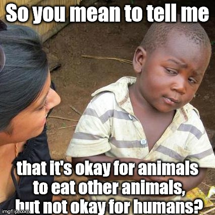 Vegetarianism: because everyone has the same dietary needs! | So you mean to tell me that it's okay for animals to eat other animals, but not okay for humans? | image tagged in memes,third world skeptical kid | made w/ Imgflip meme maker