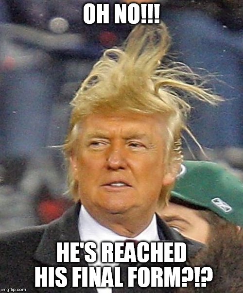 Donald Trumph hair | OH NO!!! HE'S REACHED HIS FINAL FORM?!? | image tagged in donald trumph hair | made w/ Imgflip meme maker