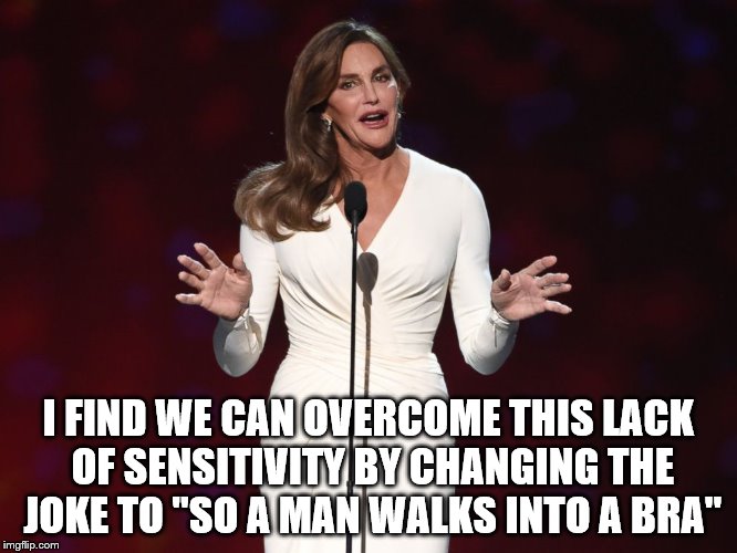 I FIND WE CAN OVERCOME THIS LACK OF SENSITIVITY BY CHANGING THE JOKE TO "SO A MAN WALKS INTO A BRA" | image tagged in kaitlyn | made w/ Imgflip meme maker
