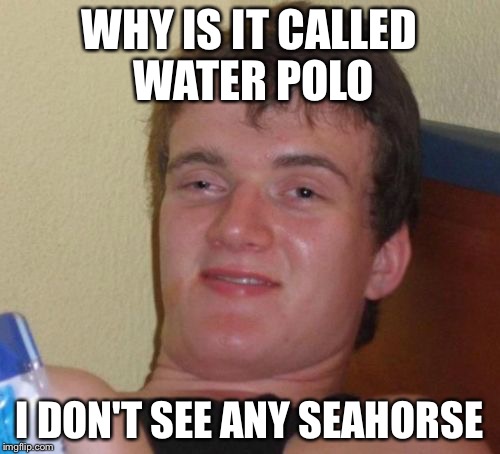 10 Guy Meme |  WHY IS IT CALLED WATER POLO; I DON'T SEE ANY SEAHORSE | image tagged in memes,10 guy | made w/ Imgflip meme maker