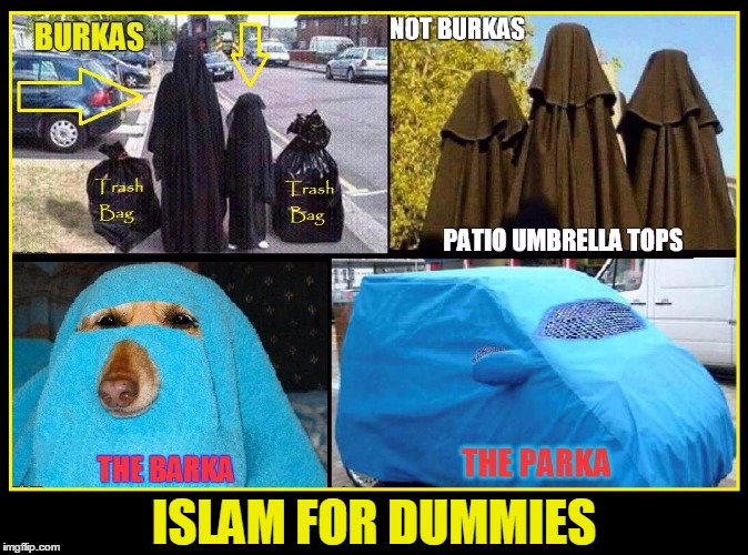 Islam for Dummes | ISLAM FOR DUMMIES | image tagged in islamophobia,muslim,vince vance,burkas,parka,barka | made w/ Imgflip meme maker