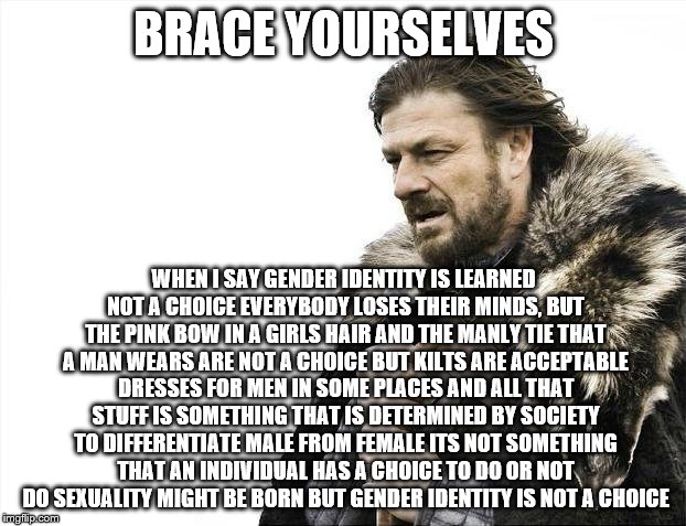Brace Yourselves X is Coming Meme | BRACE YOURSELVES WHEN I SAY GENDER IDENTITY IS LEARNED NOT A CHOICE EVERYBODY LOSES THEIR MINDS, BUT THE PINK BOW IN A GIRLS HAIR AND THE MA | image tagged in memes,brace yourselves x is coming | made w/ Imgflip meme maker