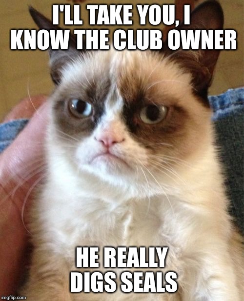 Grumpy Cat Meme | I'LL TAKE YOU, I KNOW THE CLUB OWNER HE REALLY DIGS SEALS | image tagged in memes,grumpy cat | made w/ Imgflip meme maker