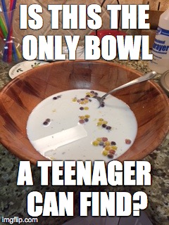 IS THIS THE ONLY BOWL; A TEENAGER CAN FIND? | image tagged in teenagers | made w/ Imgflip meme maker