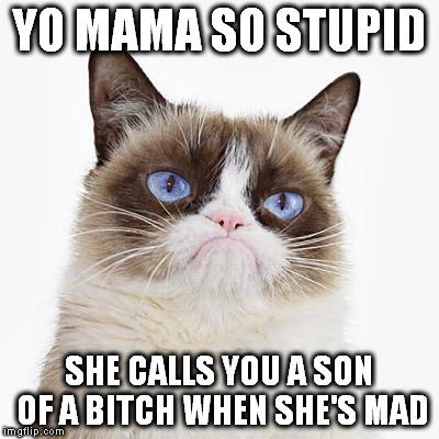 YO MAMA SO STUPID SHE CALLS YOU A SON OF A B**CH WHEN SHE'S MAD | made w/ Imgflip meme maker