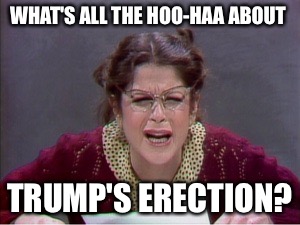 WHAT'S ALL THE HOO-HAA ABOUT TRUMP'S ERECTION? | made w/ Imgflip meme maker