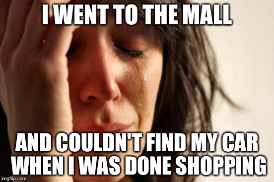 First World Problems Meme | I WENT TO THE MALL; AND COULDN'T FIND MY CAR WHEN I WAS DONE SHOPPING | image tagged in memes,first world problems | made w/ Imgflip meme maker