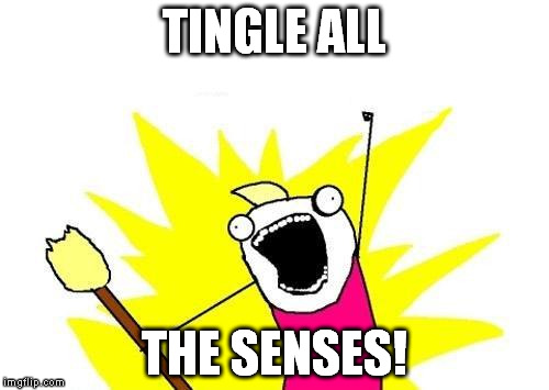 X All The Y Meme | TINGLE ALL THE SENSES! | image tagged in memes,x all the y | made w/ Imgflip meme maker