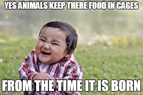 Evil Toddler Meme | YES ANIMALS KEEP THERE FOOD IN CAGES FROM THE TIME IT IS BORN | image tagged in memes,evil toddler | made w/ Imgflip meme maker