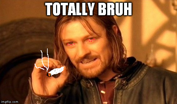 One Does Not Simply Meme | TOTALLY BRUH | image tagged in memes,one does not simply | made w/ Imgflip meme maker