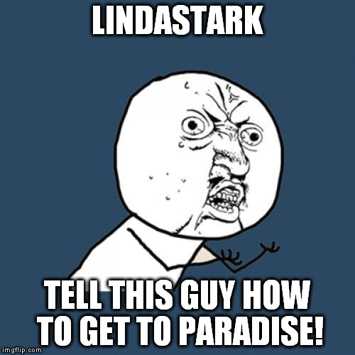 Y U No Meme | LINDASTARK TELL THIS GUY HOW TO GET TO PARADISE! | image tagged in memes,y u no | made w/ Imgflip meme maker