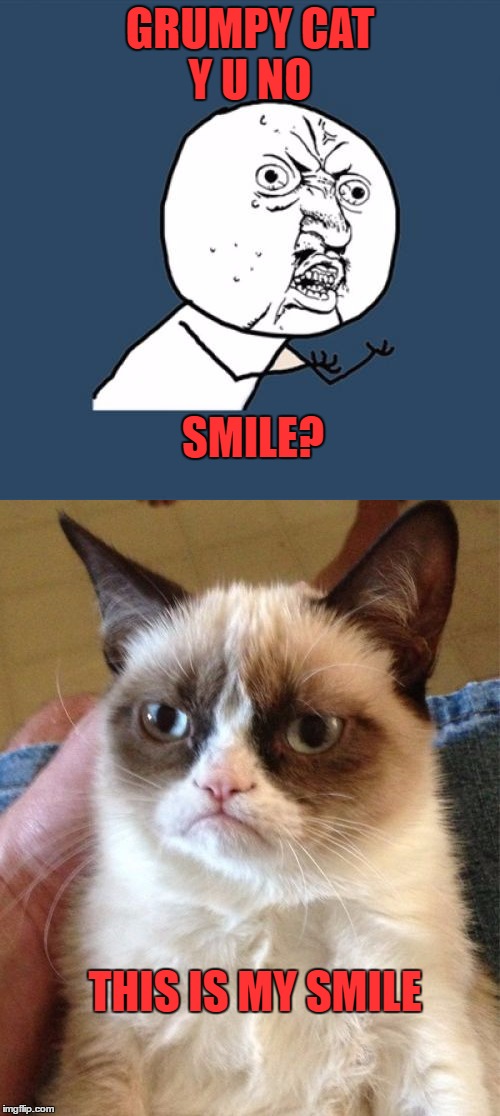 GRUMPY CAT Y U NO; SMILE? THIS IS MY SMILE | image tagged in y u no,grumpy cat | made w/ Imgflip meme maker