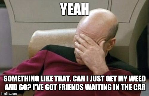 Captain Picard Facepalm Meme | YEAH SOMETHING LIKE THAT. CAN I JUST GET MY WEED AND GO? I'VE GOT FRIENDS WAITING IN THE CAR | image tagged in memes,captain picard facepalm | made w/ Imgflip meme maker