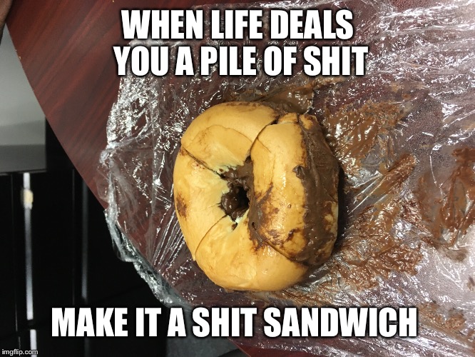 Shit sandwich  | WHEN LIFE DEALS YOU A PILE OF SHIT; MAKE IT A SHIT SANDWICH | image tagged in sandwhich | made w/ Imgflip meme maker