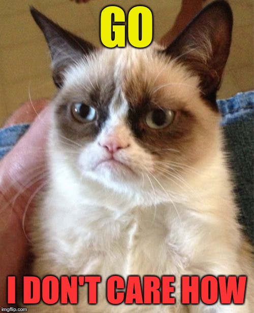 Grumpy Cat Meme | GO I DON'T CARE HOW | image tagged in memes,grumpy cat | made w/ Imgflip meme maker