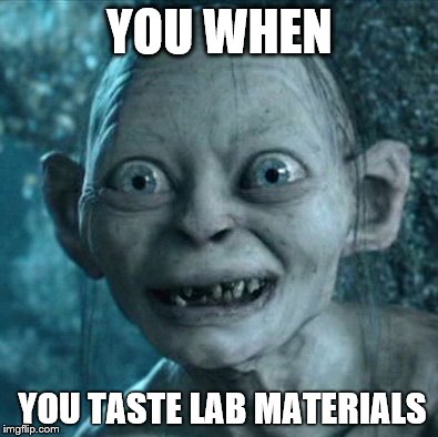 Gollum | YOU WHEN; YOU TASTE LAB MATERIALS | image tagged in memes,gollum | made w/ Imgflip meme maker