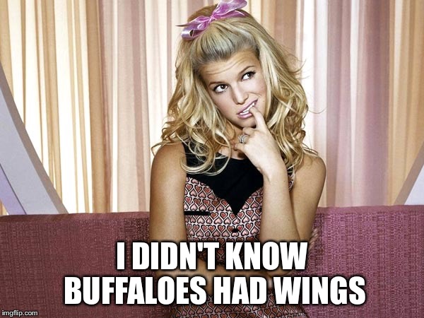 I DIDN'T KNOW BUFFALOES HAD WINGS | made w/ Imgflip meme maker