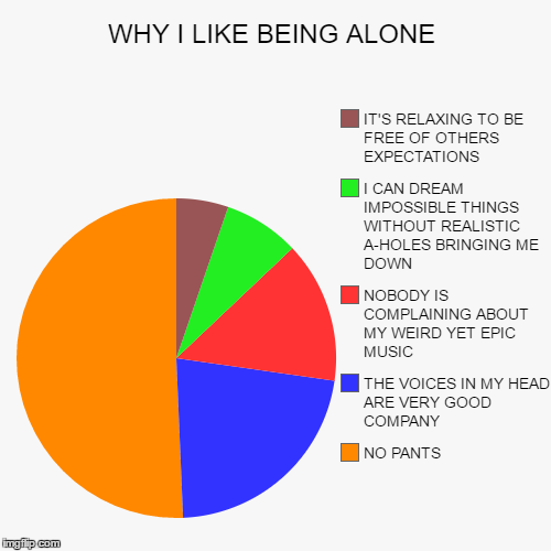 WHY I LIKE BEING ALONE - Imgflip
