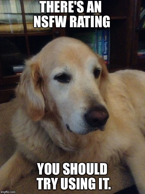 Overly critical dog | THERE'S AN NSFW RATING; YOU SHOULD TRY USING IT. | image tagged in overly critical dog | made w/ Imgflip meme maker