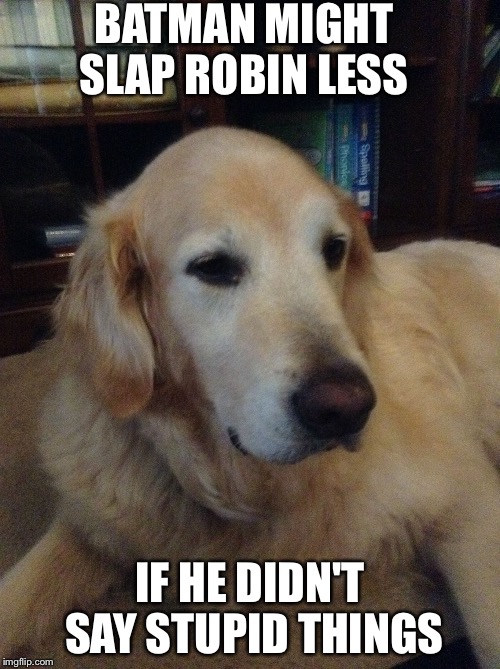 Overly critical dog | BATMAN MIGHT SLAP ROBIN LESS; IF HE DIDN'T SAY STUPID THINGS | image tagged in overly critical dog | made w/ Imgflip meme maker