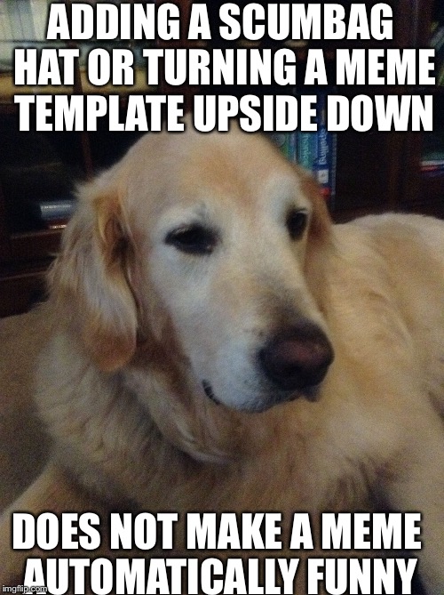 Overly critical dog | ADDING A SCUMBAG HAT OR TURNING A MEME TEMPLATE UPSIDE DOWN; DOES NOT MAKE A MEME AUTOMATICALLY FUNNY | image tagged in overly critical dog | made w/ Imgflip meme maker
