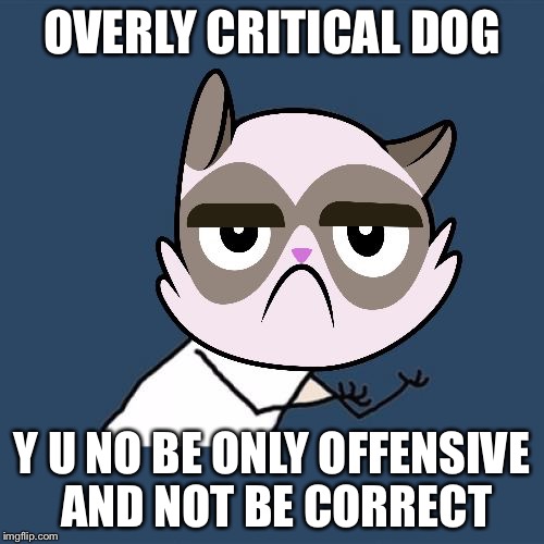 Grumpy Cat Y U No Memestrocity | OVERLY CRITICAL DOG; Y U NO BE ONLY OFFENSIVE AND NOT BE CORRECT | image tagged in grumpy cat y u no memestrocity | made w/ Imgflip meme maker
