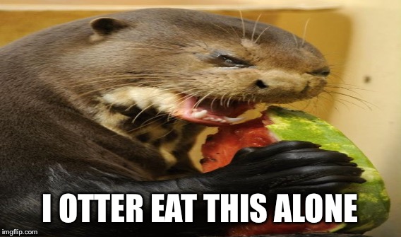 I OTTER EAT THIS ALONE | made w/ Imgflip meme maker