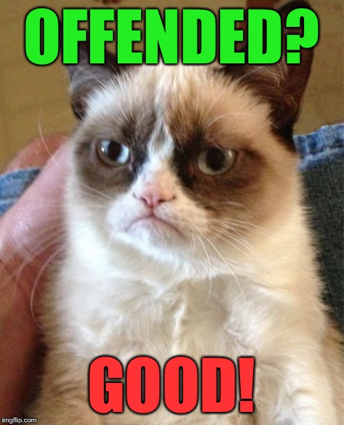 Grumpy Cat Meme | OFFENDED? GOOD! | image tagged in memes,grumpy cat | made w/ Imgflip meme maker