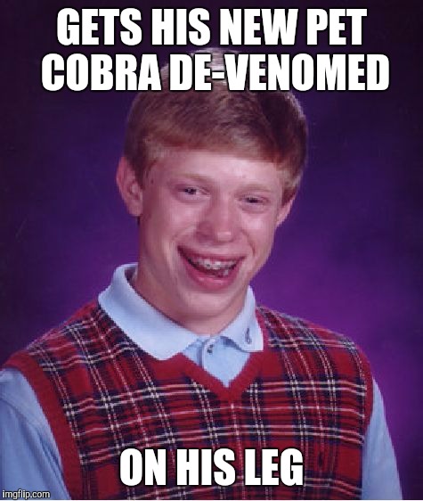 Bad Luck Brian | GETS HIS NEW PET COBRA DE-VENOMED; ON HIS LEG | image tagged in memes,bad luck brian | made w/ Imgflip meme maker