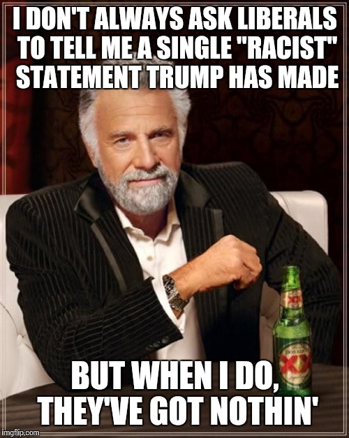 The Most Interesting Man In The World Meme | I DON'T ALWAYS ASK LIBERALS TO TELL ME A SINGLE "RACIST" STATEMENT TRUMP HAS MADE BUT WHEN I DO, THEY'VE GOT NOTHIN' | image tagged in memes,the most interesting man in the world | made w/ Imgflip meme maker