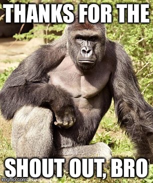 Ape | THANKS FOR THE SHOUT OUT, BRO | image tagged in ape | made w/ Imgflip meme maker