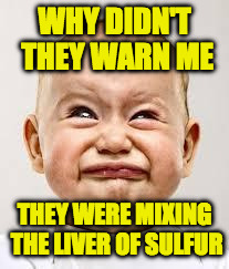 Crying baby | WHY DIDN'T THEY WARN ME; THEY WERE MIXING THE LIVER OF SULFUR | image tagged in crying baby | made w/ Imgflip meme maker