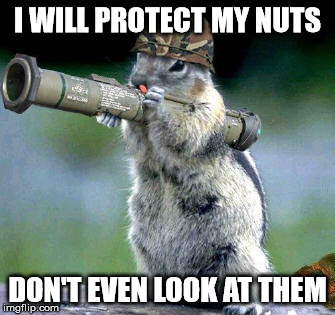 Bazooka Squirrel | I WILL PROTECT MY NUTS; DON'T EVEN LOOK AT THEM | image tagged in memes,bazooka squirrel,i will protect these nuts,don't even think about that,other phrase | made w/ Imgflip meme maker
