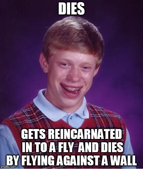 Bad Luck Brian | DIES; GETS REINCARNATED IN TO A FLY  AND DIES BY FLYING AGAINST A WALL | image tagged in memes,bad luck brian | made w/ Imgflip meme maker