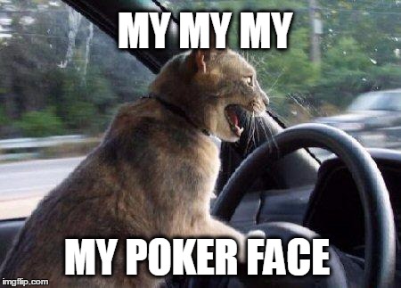 Puss Puss sings while driving | MY MY MY; MY POKER FACE | image tagged in catsale,lady gaga,poker face,singingcat,cat,loud bass | made w/ Imgflip meme maker