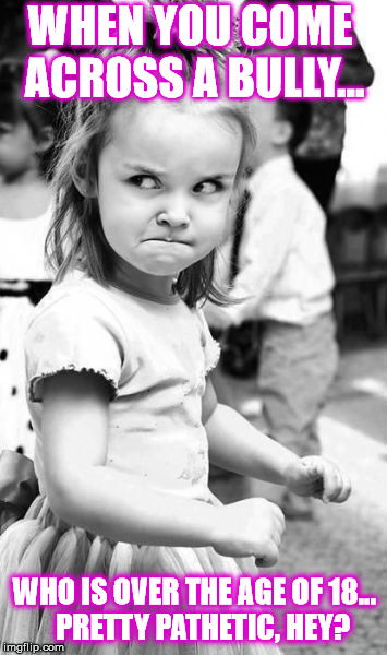Angry Toddler Meme | WHEN YOU COME ACROSS A BULLY... WHO IS OVER THE AGE OF 18...
  PRETTY PATHETIC, HEY? | image tagged in memes,angry toddler | made w/ Imgflip meme maker