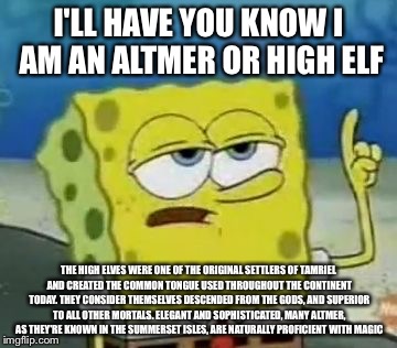 I'll Have You Know Spongebob Meme | I'LL HAVE YOU KNOW I AM AN ALTMER OR HIGH ELF; THE HIGH ELVES WERE ONE OF THE ORIGINAL SETTLERS OF TAMRIEL AND CREATED THE COMMON TONGUE USED THROUGHOUT THE CONTINENT TODAY. THEY CONSIDER THEMSELVES DESCENDED FROM THE GODS, AND SUPERIOR TO ALL OTHER MORTALS. ELEGANT AND SOPHISTICATED, MANY ALTMER, AS THEY'RE KNOWN IN THE SUMMERSET ISLES, ARE NATURALLY PROFICIENT WITH MAGIC | image tagged in memes,ill have you know spongebob | made w/ Imgflip meme maker