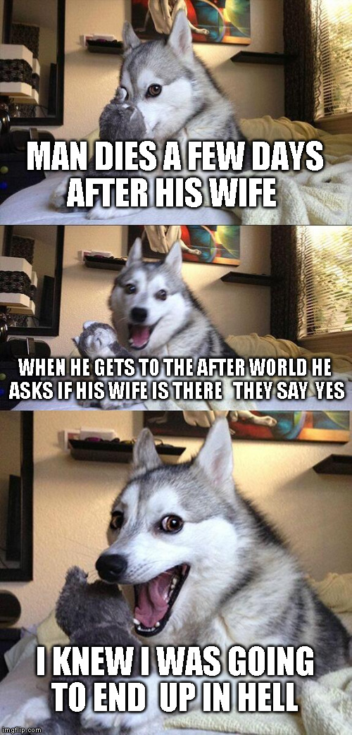 Bad Pun Dog | MAN DIES A FEW DAYS AFTER HIS WIFE; WHEN HE GETS TO THE AFTER WORLD HE ASKS IF HIS WIFE IS THERE   THEY SAY  YES; I KNEW I WAS GOING TO END  UP IN HELL | image tagged in memes,bad pun dog | made w/ Imgflip meme maker