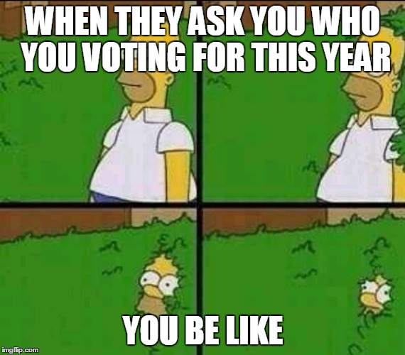 Simpsons | WHEN THEY ASK YOU WHO YOU VOTING FOR THIS YEAR; YOU BE LIKE | image tagged in simpsons | made w/ Imgflip meme maker