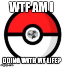 Pokefan2508 | WTF AM I; DOING WITH MY LIFE? | image tagged in pokefan2508 | made w/ Imgflip meme maker