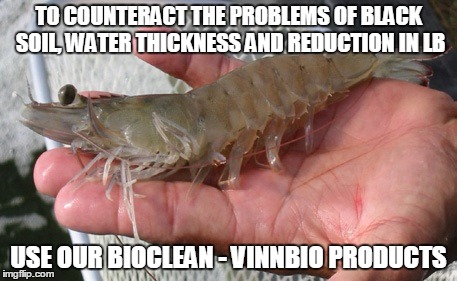 TO COUNTERACT THE PROBLEMS OF BLACK SOIL, WATER THICKNESS AND REDUCTION IN LB; USE OUR BIOCLEAN - VINNBIO PRODUCTS | made w/ Imgflip meme maker