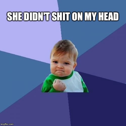 Success Kid | SHE DIDN'T SHIT ON MY HEAD | image tagged in memes,success kid | made w/ Imgflip meme maker