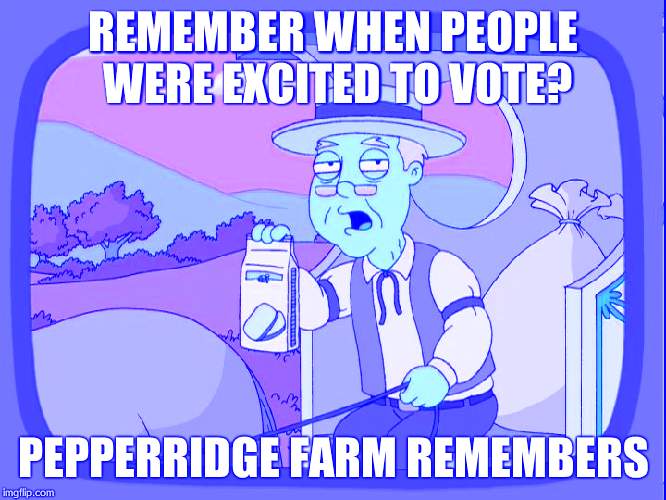 Pepperridge Farm | REMEMBER WHEN PEOPLE WERE EXCITED TO VOTE? PEPPERRIDGE FARM REMEMBERS | image tagged in pepperridge farm | made w/ Imgflip meme maker