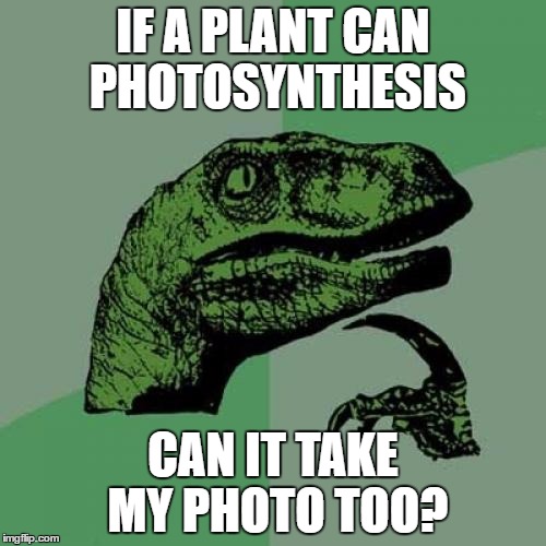 Philosoraptor Meme | IF A PLANT CAN PHOTOSYNTHESIS; CAN IT TAKE MY PHOTO TOO? | image tagged in memes,philosoraptor | made w/ Imgflip meme maker