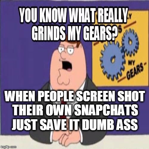 Snapchat Screen Shots | WHEN PEOPLE SCREEN SHOT; THEIR OWN SNAPCHATS; JUST SAVE IT DUMB ASS | image tagged in snapchat,screenshot,family guy | made w/ Imgflip meme maker