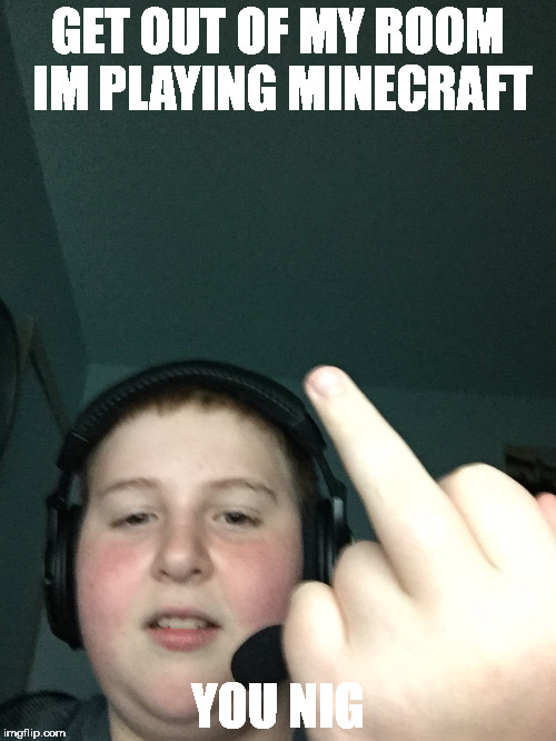 GET OUT OF MY ROOM IM PLAYING MINECRAFT; YOU NIG | image tagged in hagmeow,meme,thuglife,minecraft meme | made w/ Imgflip meme maker