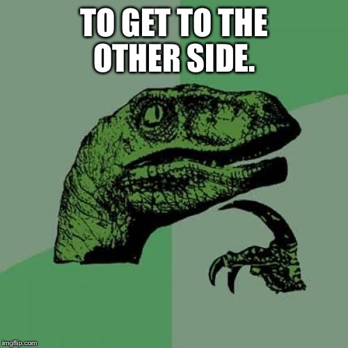 Philosoraptor Meme | TO GET TO THE OTHER SIDE. | image tagged in memes,philosoraptor | made w/ Imgflip meme maker