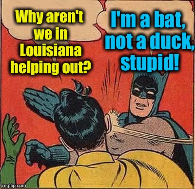 Batman Slapping Robin Meme | I'm a bat, not a duck, stupid! Why aren't we in Louisiana helping out? | image tagged in memes,batman slapping robin,funny,evilmandoevil | made w/ Imgflip meme maker