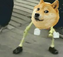 Dancing Doge Blank Meme Template