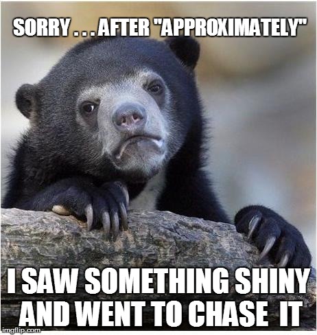 SORRY . . . AFTER "APPROXIMATELY" I SAW SOMETHING SHINY AND WENT TO CHASE  IT | made w/ Imgflip meme maker